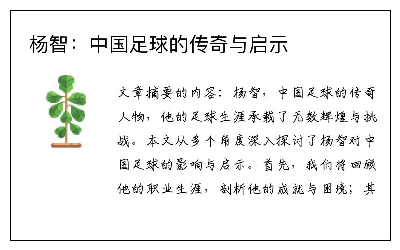 杨智：中国足球的传奇与启示