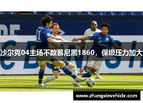 沙尔克04主场不敌慕尼黑1860，保级压力加大